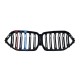 Ноздри M-Look (2019-2022, M-Color) для BMW X6 G06 2019- гг