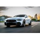 Передняя решетка GT Panamericana GT-R (2018-2022) для Mercedes AMG GT 4 X290