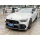 Передняя решетка GT Panamericana GT-R (2018-2022) для Mercedes AMG GT 4 X290