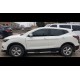 Боковые Трубы (2017-2021, 2 шт., Нержавейка) для Nissan Qashqai