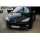 Передня нижня накладка (під фарбування) для Peugeot 206 1998-2024 рр