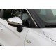 Накладки на дзеркала (2 шт, нерж) OmsaLine - Італійська нержавійка для Citroen DS-5 2011-2015 рр Накладки на дзеркала (2 шт, нерж) OmsaLine - Італійська нержавійка для Citroen DS-5 2011-2015 рр