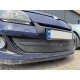 Зимняя накладка на решетку (2009-2013, нижняя) Матовая для Renault Megane III