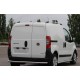 Задняя защита (нерж) для Fiat Fiorino/Qubo
