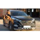 Передняя защита Shark (нерж) для Hyundai Tucson TL 2016-2021 гг