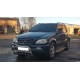 Кенгурятник WT004 (нерж.) для Mercedes ML W163