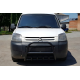 Кенгурятник WT003 Black (нерж) для Citroen Berlingo 1996-2008 гг