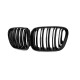Решетки M-Look (1999-2003, Черный Глянец) для BMW X5 E53