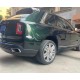 Боковые Подножки OEM (2 шт) для Rolls-Royce Cullinan 2018- гг