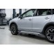 Боковые Подножки Rainbow (2 шт., Алюминий) для Subaru XV 2011-2017 гг