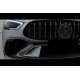 Комплект обвеса LRT Carbon (для GT53 2024-2026) для Mercedes AMG GT 4 X290 2018- гг