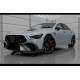 Комплект обвеса LRT Carbon (для GT53 2024-2026) для Mercedes AMG GT 4 X290 2018- гг