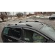 Рейлінги Хром Металеві ніжки для Ford C-Max 2004-2010 рр