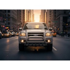 Кенгурятник WT003 (нерж) для Ford Ranger 2007-2011 рр