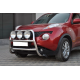 Кенгурятник WT018 (нерж) для Nissan Juke 2010-2019 рр