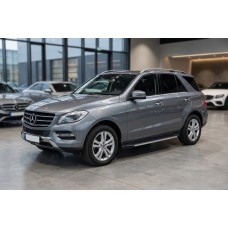Боковые Подножки Maya V1 (2 шт., Алюминий) для Mercedes GLE/ML class W166 2011-2018 гг