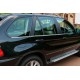 Нижні сталеві молдинги (6 шт, нерж.) для BMW X5 E-53 1999-2006 рр