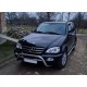 Накладки на кант решітки (5 шт, нерж) для Mercedes ML W163