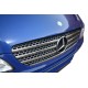 Накладка на решітку 2004-2010 (нерж) Carmos - Турецька сталь для Mercedes Vito W639 рр