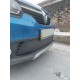 Зимова нижня накладка на решітку (2013-2015) Глянцева для Renault Logan II рр