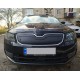 Зимова накладка на решітку (2013-2017) матова для Skoda Octavia III A7 рр