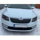 Зимова накладка на решітку (2013-2017) матова для Skoda Octavia III A7 рр