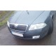 Зимняя накладка на решетку (верхняя) Матовая для Skoda Octavia II A5 2006-2010 гг