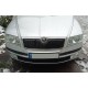 Зимняя накладка на решетку (верхняя) Матовая для Skoda Octavia II A5 2006-2010 гг