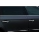 Окантовка вікон HB (6 шт, нерж) для Volkswagen Polo 2010-2017 рр