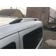 Рейлінги ХРОМ Чавунні ніжки для Opel Combo 2002-2012 рр