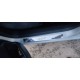 Накладки на пороги Carmos (4 шт, нерж.) для Peugeot 207
