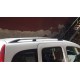 Рейлінги хром Максі база, Чавунні ніжки для Renault Kangoo 2008-2020 рр