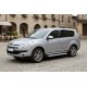 Боковые Подножки Maya V2 (2 шт., Алюминий) для Citroen C-Crosser 2007-2013 гг