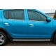 Наружняя окантовка стекол (4 шт, нерж.) Carmos - Турецкая сталь для Renault Sandero 2007-2013 гг