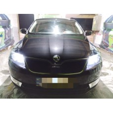 Зимова решітка (верхня) Глянцева для Skoda Rapid 2012-2019 рр