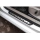 Накладки на пороги Flexill Dotline (4 шт, нерж) для Volkswagen Golf 7/E-Golf