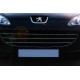 Накладки на решітку (3 шт, нерж) OmsaLine - Італійська нержавійка для Peugeot 407 2004-2011 рр Накладки на решітку (3 шт, нерж) OmsaLine - Італійська нержавійка для Peugeot 407 2004-2011 рр