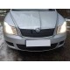Зимова накладка на решітку (нижня) Глянцева для Skoda Octavia II A5 2010-2013рр