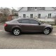 Окантовка вікон (6 шт, нерж) для Skoda Octavia III A7 2013-2019рр