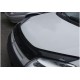Дефлектор капота Eurocap (2003-2008) для Citroen Berlingo