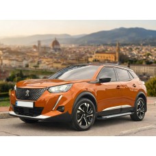 Бокові пороги Allmond Grey (2 шт, алюміній) для Peugeot 3008 2016-2023 рр