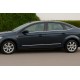 Молдинг дверний (нерж) для Ford Mondeo 2008-2014 рр