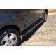 Боковые пороги Bosphorus Grey (2 шт., алюминий) Длинная База для Ford Custom 2013-2022 гг