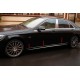Накладки на молдинг V1 (6 шт, нерж) для Mercedes S-сlass W222
