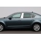 Молдинг дверных стоек (6 шт, нерж) для Skoda Octavia III A7 2013-2019 гг
