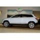 Молдинг дверей (нерж) для Skoda Karoq 2018- гг