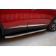 Молдинг дверний (4 шт, нерж) OmsaLine - Італійська нержавійка для Peugeot 3008 2016-2023 рр Молдинг дверний (4 шт, нерж) OmsaLine - Італійська нержавійка для Peugeot 3008 2016-2023 рр
