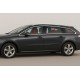 Нижня окантовка вікон (SW, нерж) для Peugeot 508 2010-2018 рр