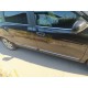 Молдинг дверной (4 шт, нерж.) для Dacia Lodgy 2012-2022 гг