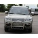 Кенгурятник QT006 (нерж.) для Lifan X60